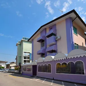 https://hotel-zanin.hotelinveneto.com